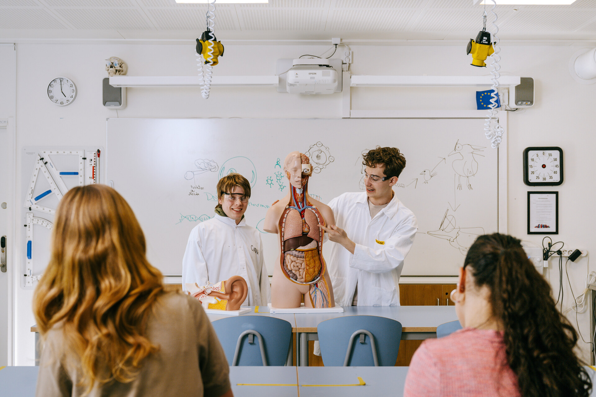 Elever gjennomfører en biologitime og presenterer en anatomimodell i et klasserom i Expandias modulløsning på Ekens skole i Hammarby Sjöstad.