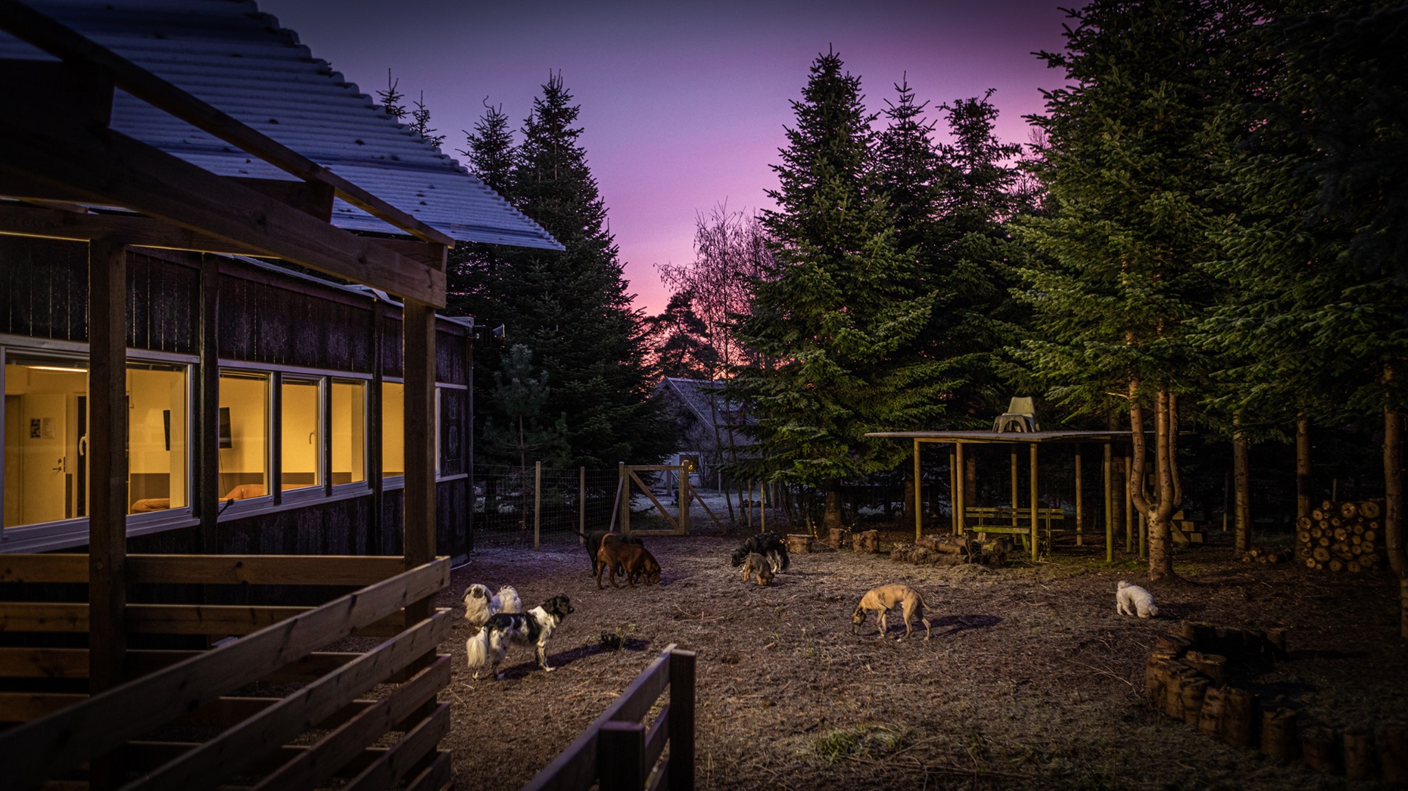 Hundebarnehage i moduler